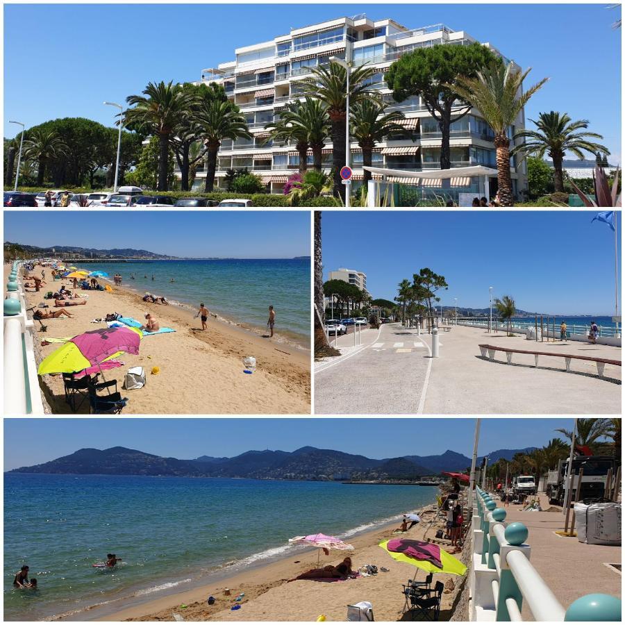 Garden And Sea View Apartament